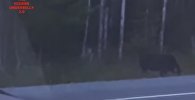 Белгісіз құбыжық тұрғындардың зәресін алды – жантүршігерлік видео