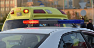 Полицейское авто и автомобиль скорой помощи, иллюстративное фото