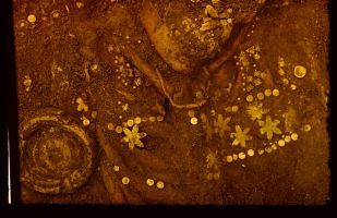 Золотые украшения, найденные в кургане Тилля-тепе в Афганистане