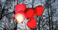 Воздушные шары в виде сердец