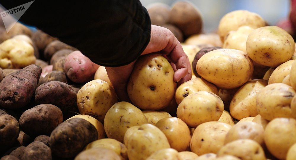 Картопты суық суға салып пісіруге болмайды – қателік неге әкеп соғады