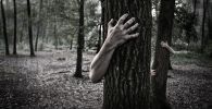 Руки человека обнимают ствол дерева, иллюстративное фото