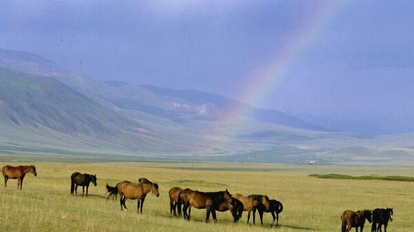Лошади на горном пастбище - Sputnik Казахстан