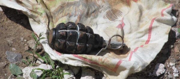 Граната - Sputnik Қазақстан