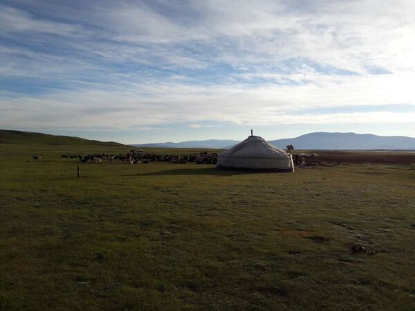Виды Монголии Виды Монголии - Sputnik Казахстан