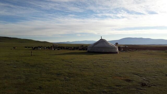 Сексуалдық Новосибирск