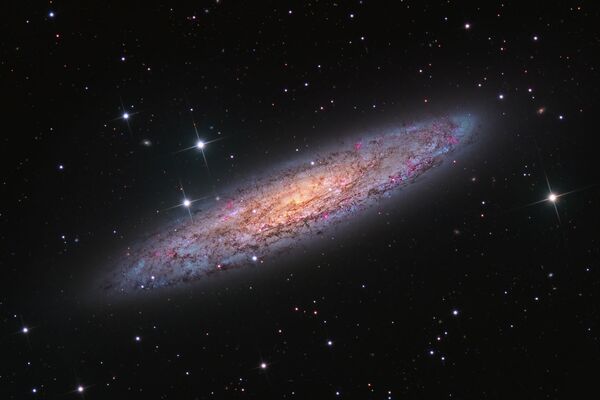 Снимок NGC 253 - Starbust Galaxy in Sculptor канадского фотографа Terry Robison из категории Galaxies, попавший в шортлист конкурса Insight Investment Astronomy Photographer of the Year 2020  - Sputnik Казахстан