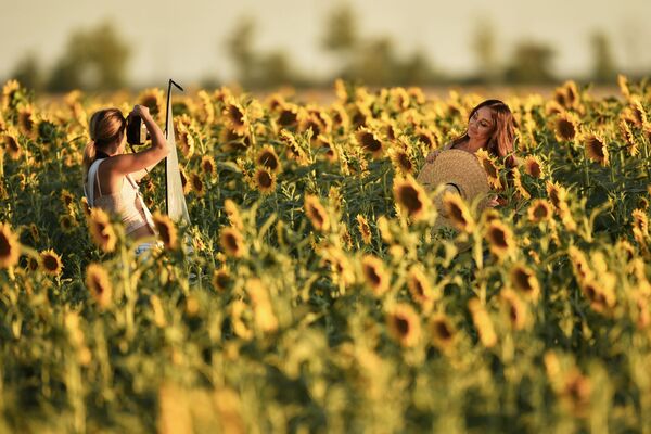 Девушки во время цветения подсолнечника на поле в Симферопольском районе - Sputnik Казахстан