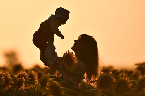 Девушка с ребенком во время цветения подсолнечника на поле в Симферопольском районе - Sputnik Казахстан
