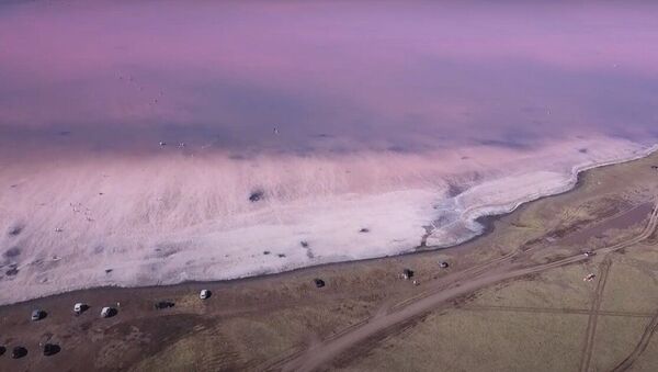 Соленое бессточное розовое озеро Кобейтуз в Акмолинской области - Sputnik Қазақстан