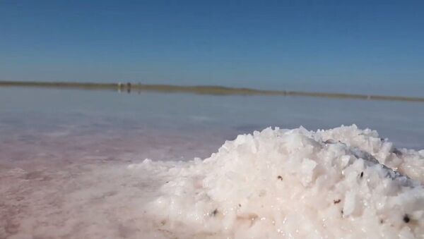 Розовая соль озера Кобейтуз - Sputnik Казахстан