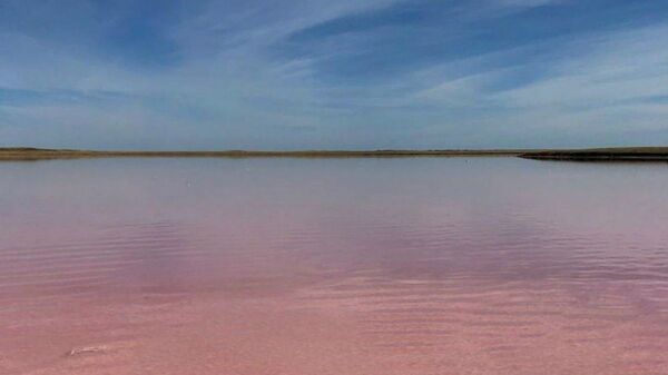 Розовое озеро Кобейтуз - Sputnik Казахстан