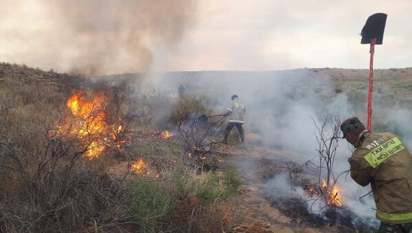 Четвертые сутки тушат природный пожар в Мойынкумском  районе Жамбылской области  - Sputnik Қазақстан