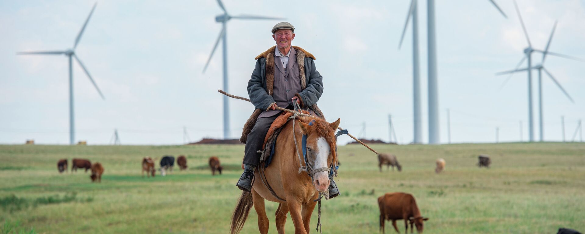 Пастух на лошади по дороге к озеру, архивное фото - Sputnik Казахстан, 1920, 07.01.2026