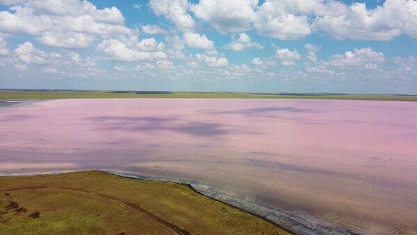 Розовое озеро Кобейтуз: экологическая трагедия или будущее для туризма - видео - Sputnik Казахстан
