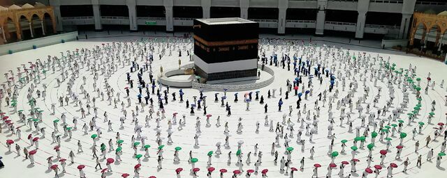 Ең дәмді сиськи мен есектер