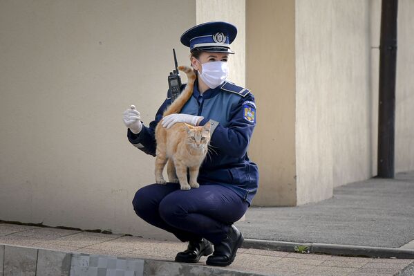 Женщина-полицейский играет с кошкой возле церкви в Вербное воскресенье в Бухаресте, Румыния - Sputnik Казахстан