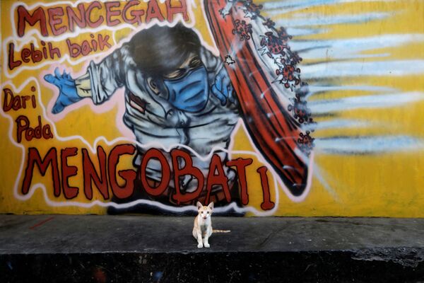 Котенок на фоне граффити о защите от коронавируса на окраине Джакарты, Индонезия - Sputnik Казахстан