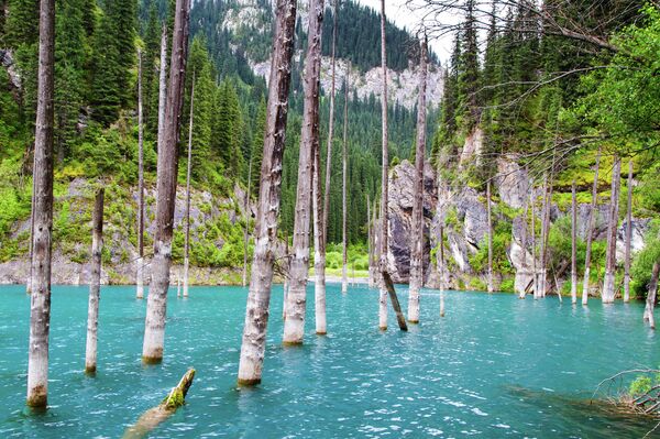 Сұйықтық пенисаға енгізіледі