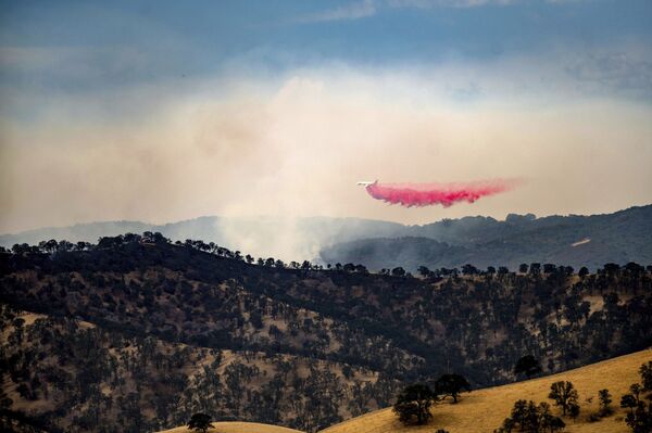 Тушение лесного пожара в округе Контра-Коста в Калифорнии - Sputnik Казахстан