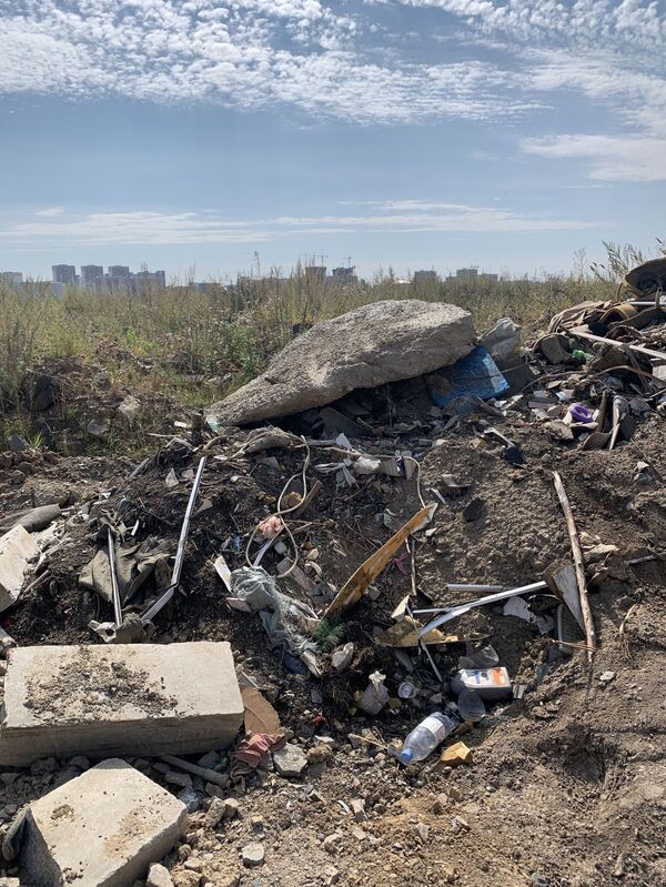 Талдыколь может стать центром экотуризма Нур-Султана – архитектор Асхат Садуов - Sputnik Казахстан