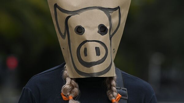 Мужчина в маске из бумажного пакета принимает участие в акции протеста против соглашения между Аргентиной и Китаем о производстве свиней на экспорт, Буэнос-Айрес - Sputnik Казахстан
