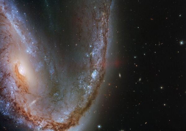 Искаженная галактика галактика NGC 2442 в созвездии Летучая Рыба - Sputnik Казахстан