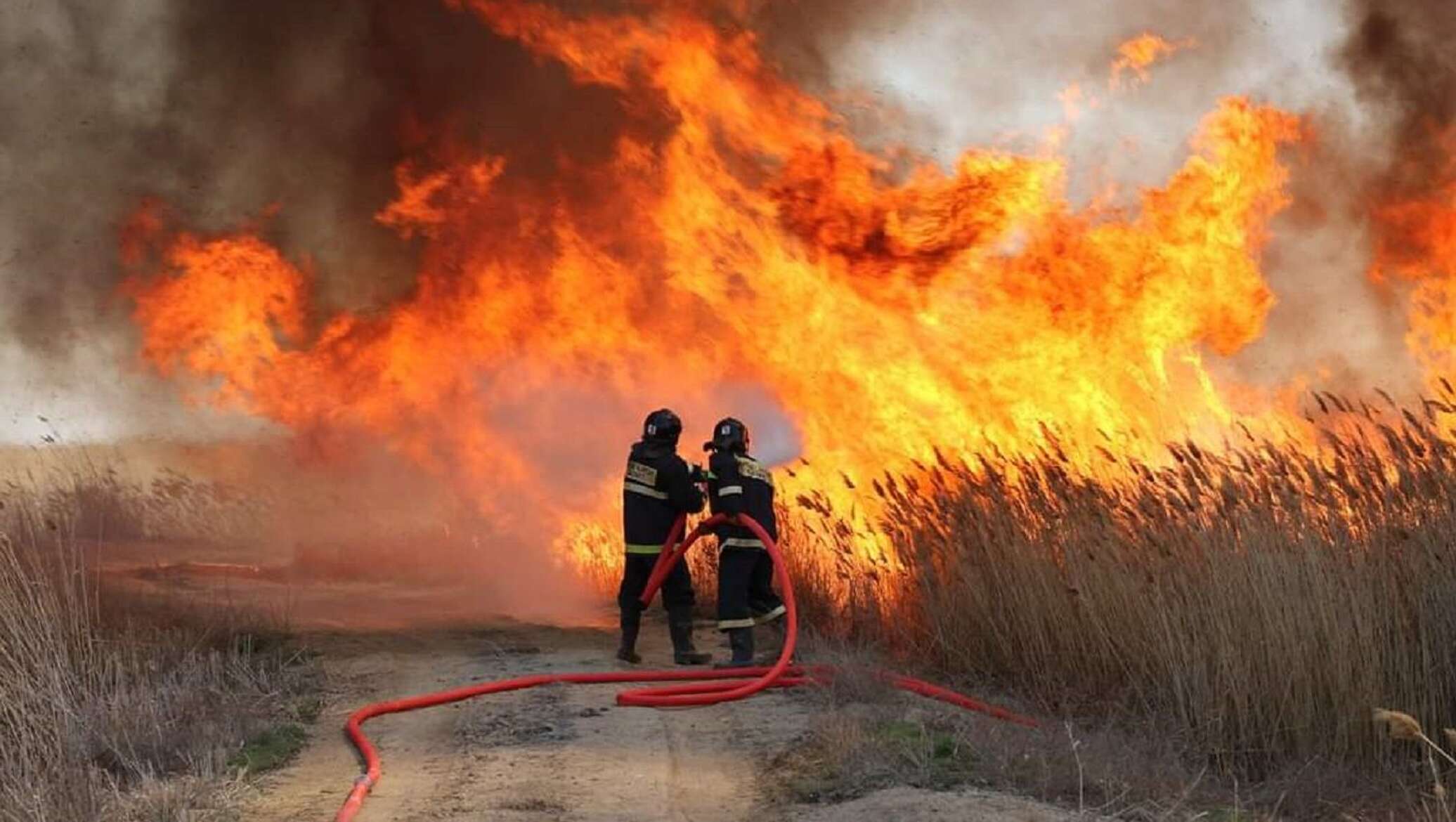 Пожарные тушат пожар арт