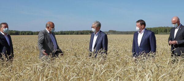 Глава государства ознакомился с ходом уборочной кампании в Северо-Казахстанской области - Sputnik Казахстан