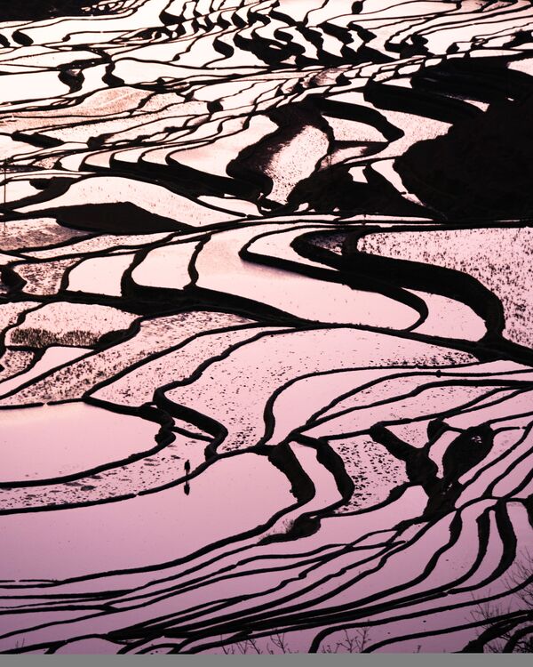 Снимок Yuanyang Rice Terraces фотографа Eric Ho, ставший финалистом в категории LANDSCAPES конкурса National Geographic Traveller Photography Competition 2020 - Sputnik Казахстан