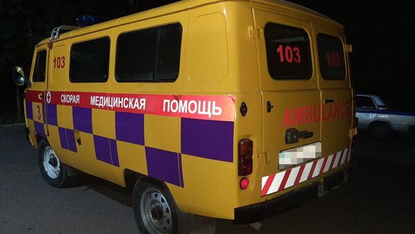 Пьяный сельчанин пытался угнать карету скорой помощи и избил водителя в СКО - Sputnik Казахстан