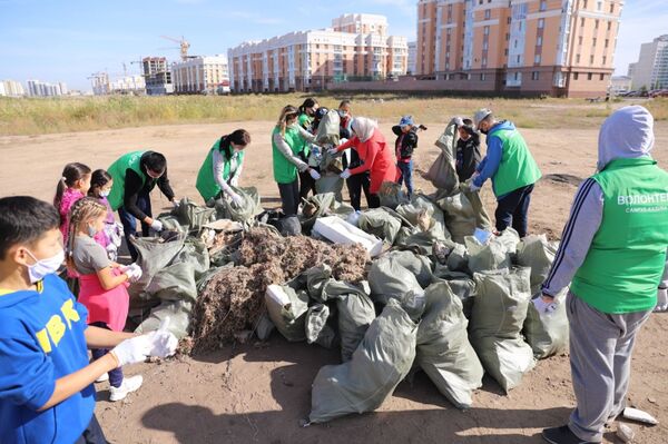 Тонну мусора собрали волонтеры на озере Талдыколь в Нур-Султане - Sputnik Казахстан