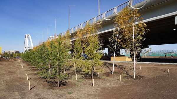 Казахстанские политики и селебрити высадили деревья в парке для спортсменов - Sputnik Казахстан