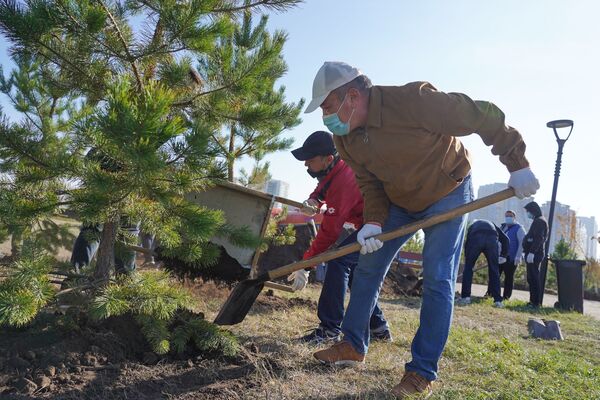 Казахстанские политики и селебрити высадили деревья в парке для спортсменов - Sputnik Казахстан