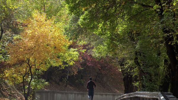 Виды Алматы осенью - Sputnik Казахстан