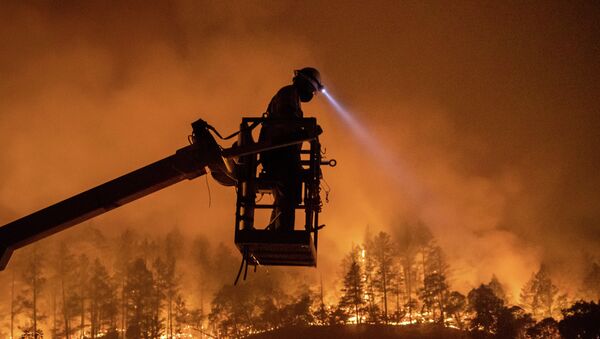 Лесной пожар в Калифорнии  - Sputnik Казахстан
