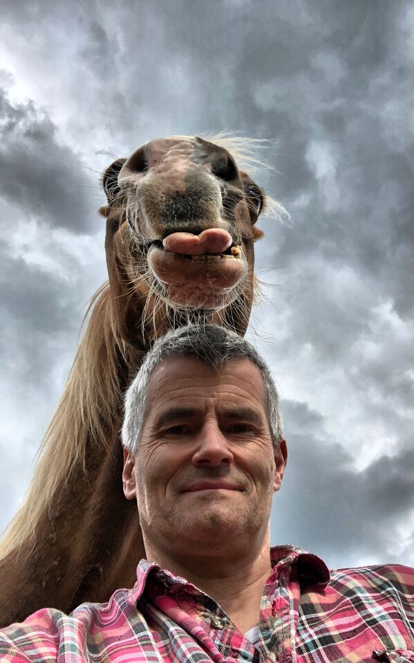 Снимок Funny horse немецкого фотографа Peter von Shnen, ставший финалистом конкурса Mars Petcare Comedy Pet Photography Awards - Sputnik Казахстан