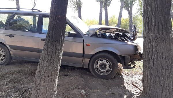 Фольксваген врезался в дерево после того, как его подрезало другое авто - Sputnik Казахстан
