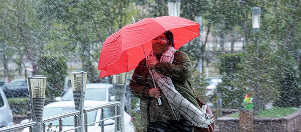 Снегопад в Нур-Султане - Sputnik Казахстан