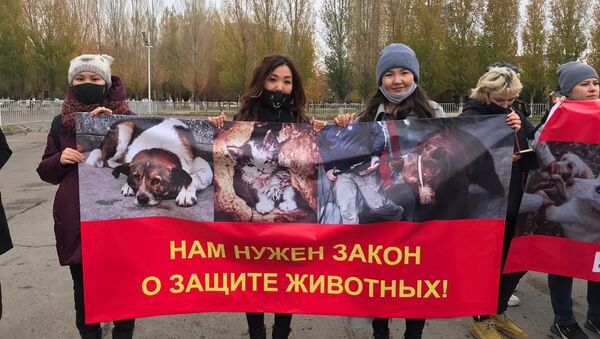 Митинг в защиту животных в Нур-Султане - Sputnik Казахстан