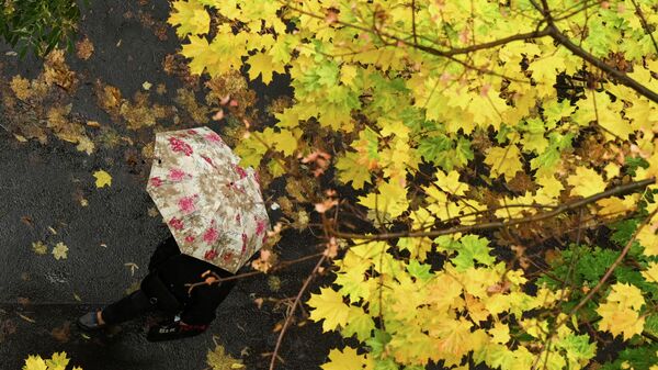 Человек под зонтом гуляет под деревьями  - Sputnik Казахстан