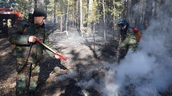 На территории национального пока Бурабай произошло загорание лесной подстилки - Sputnik Казахстан