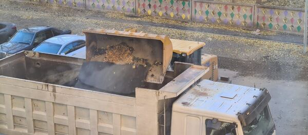 Аким Павлодара заставил подрядчика демонтировать асфальт, уложенный поверх листвы Аким Павлодара заставил подрядчика демонтировать асфальт, уложенный поверх листвы - Sputnik Казахстан