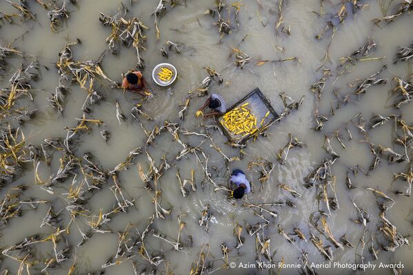 Снимок Flood water has damaged crops фотографа из Бангладеш Azim Khan Ronnie, занявший 2-е место в категории Editorial конкурса Aerial Photography Awards 2020 - Sputnik Казахстан