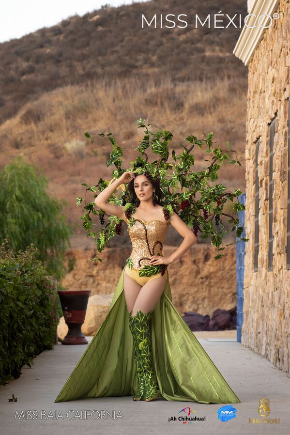 Участница конкурса Miss México 2020 Daniela Pedroza, представляющая штат Baja California - Sputnik Казахстан