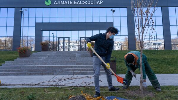 Всего в Алматы планируют высадить 250 тысяч деревьев до конца текущего года - Sputnik Қазақстан