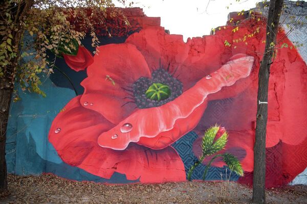 Граффити длиной почти в 150 метров создают алматинские стрит-арт художники - Sputnik Казахстан