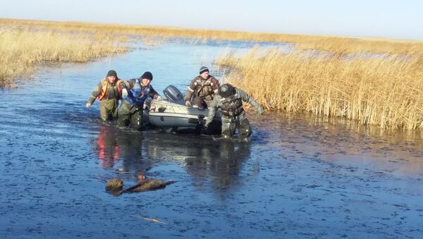 В Астраханском районе найдено тело пропавшего рыбака - Sputnik Казахстан