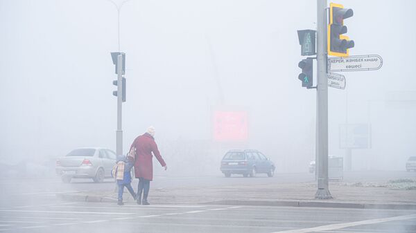 Женщина с ребенком переходит дорогу в тумане - Sputnik Қазақстан