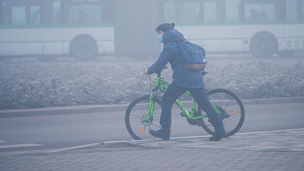 Мальчик перевозит велосипед через дорогу в тумане  - Sputnik Казахстан